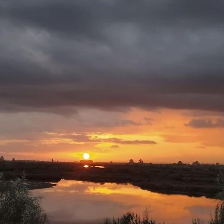 La Casita De Poniente. Enjoy It! Villa Huelva Exteriör bild